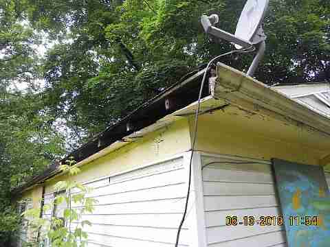 15017 Dolphin (2)_m.jpg